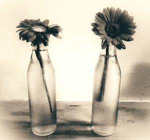 Close-up of white flower vase on table