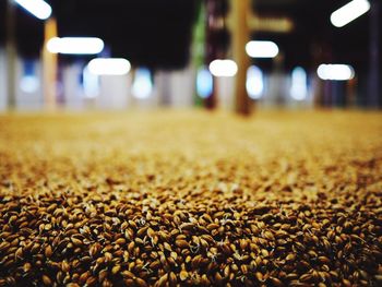 Close-up of coffee at night