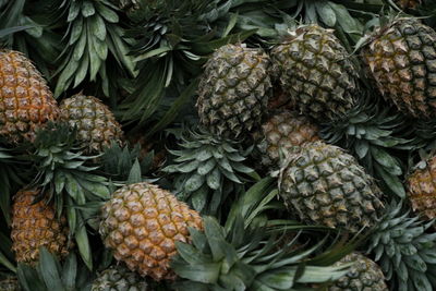 Full frame shot of fruits for sale in market