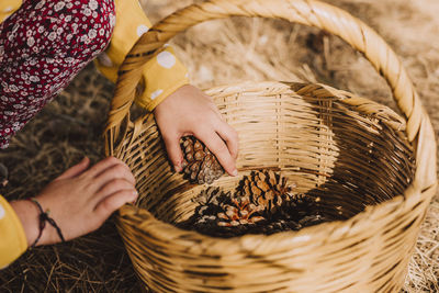 High angle view of woman holding wicker basket
