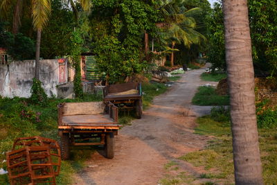 Footpath amidst trees in forest