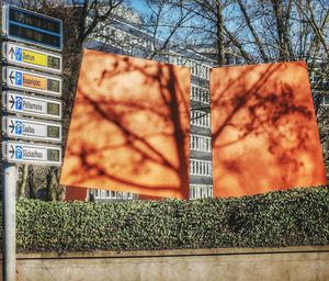 Low angle view of bare tree against building