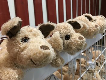 Close-up of stuffed toys for sale in store