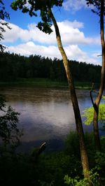 Scenic view of lake in forest against sky