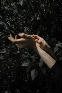 Midsection of person with hands on tree