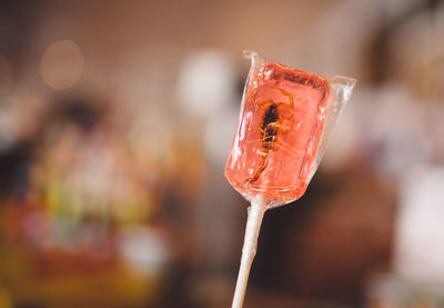 Close-up of red berries on ice cream