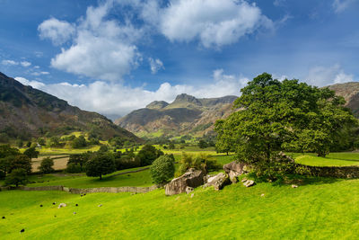 Scenic view of landscape and mountains against sky