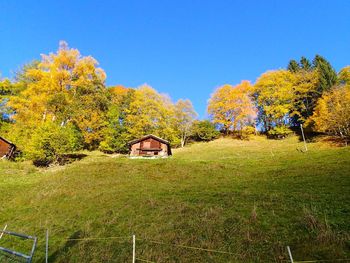 House amidst trees and plants on field against sky