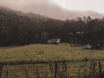 Scenic view of field by trees and houses against sky