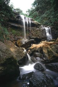 Scenic view of waterfall in forest