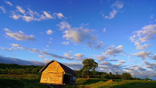 House amidst trees on field against sky