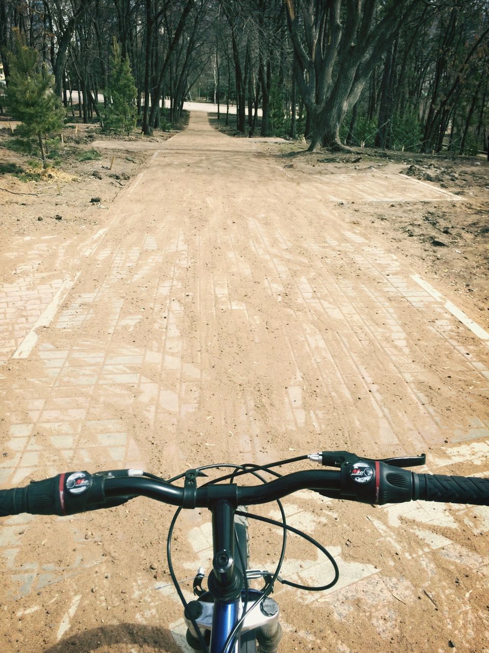 bicycle, transportation, land vehicle, mode of transport, tree, stationary, parked, road, parking, the way forward, street, shadow, day, outdoors, travel, sunlight, wheel, motorcycle, no people, dirt road