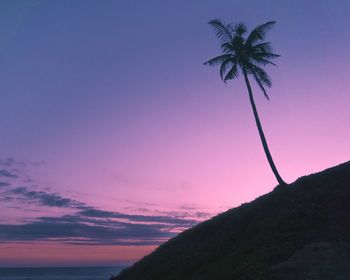 Silhouette palm tree by sea against sky at sunset
