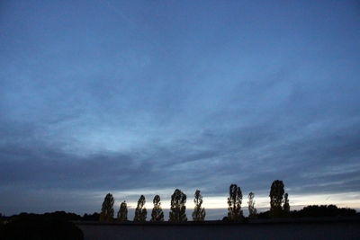 Silhouette plants against sky at dusk