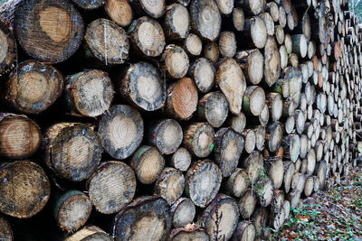 Full frame shot of logs in forest