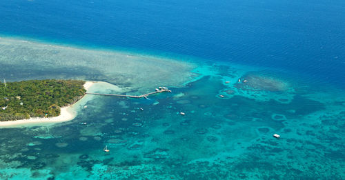 High angle view of swimming underwater