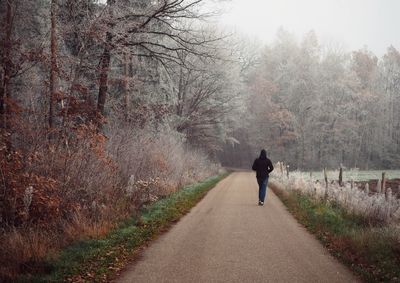 Rear view of man walking on road amidst trees