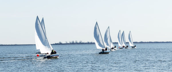 Sailboats sailing in sea against clear sky