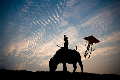 Silhouette boy standing by dog on field against sky during sunset