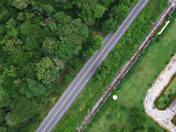 High angle view of road amidst trees on field