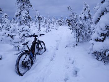 Following winter tracks in a frozen bog.