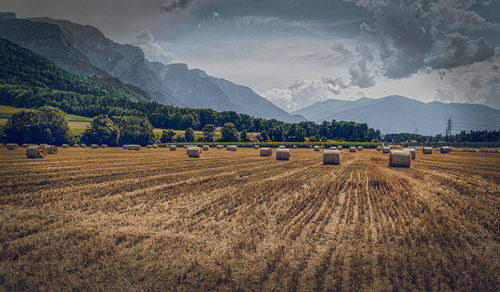 Hay bales on field against sky