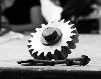 Close-up of leaf against blurred background