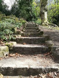 Steps and trees