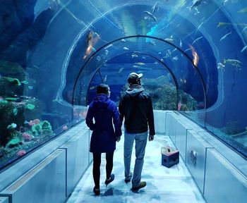 Rear view of people in fish tank at aquarium