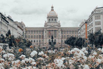 View of buildings in city