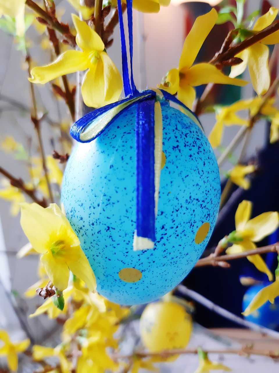 CLOSE-UP OF BLUE FLOWERING PLANT