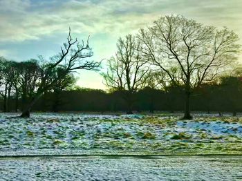 Bare trees by river against sky during winter