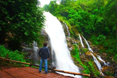 Scenic view of waterfall in forest