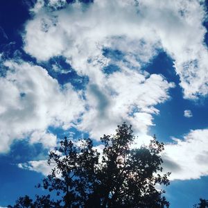 Low angle view of silhouette trees against sky