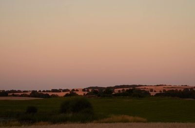 Scenic view of field at sunset