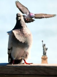 Close-up of bird perching on statue against sky
