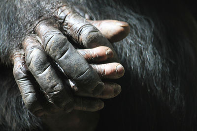 Close-up of human hand sculpture