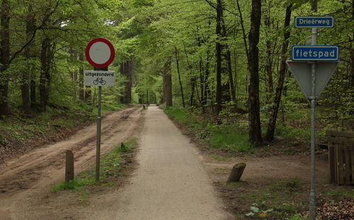 Road sign by trees