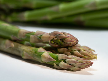 Close-up of food on table