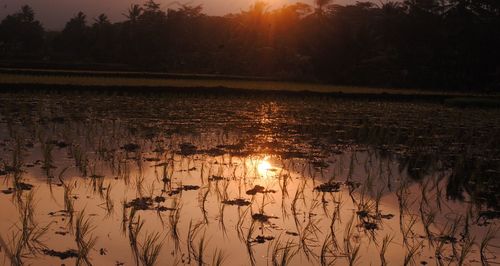 Scenic view of lake against sky during sunset