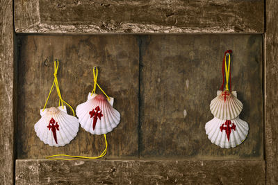 Compostela pilgrim scallops in wood background , way of st james , camino de santiago