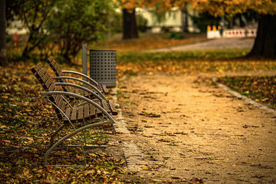 Empty bench in park, autumn