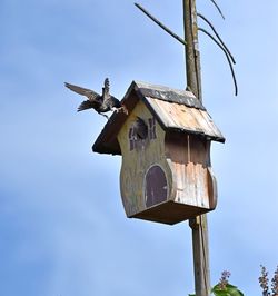Low angle view of bird flying by house against sky