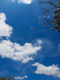 Low angle view of airplane flying in sky