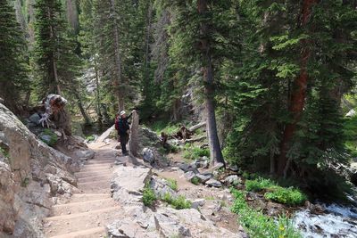 Man standing in forest