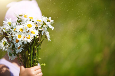 Little girl with a bouquet of daisies in summer on a green natural background. happy child, hidden 