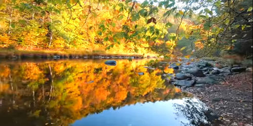 Scenic view of lake during autumn