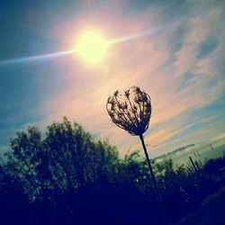 Low angle view of sky at sunset