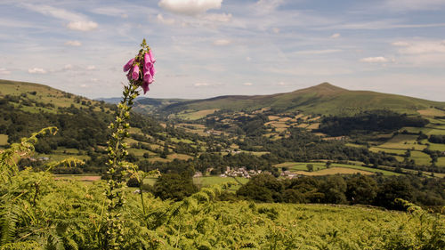 Scenic view of landscape and mountains against sky