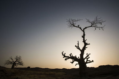 Silhouette of bare tree against clear sky